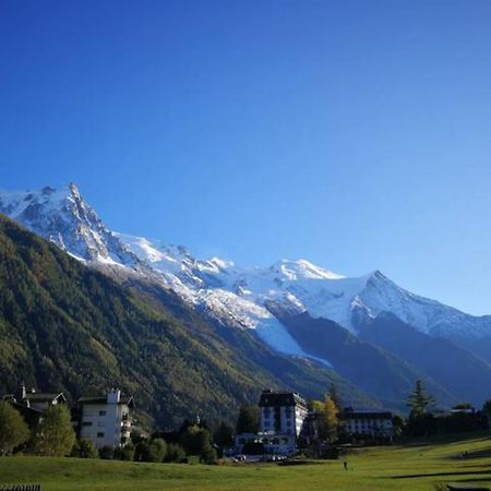 Apartament Le Savoy - Terrasse Avec Vue Sur Le Mont-Blanc Chamonix Zewnętrze zdjęcie